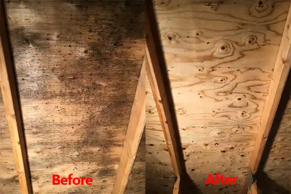 water damage restoration service New Prague